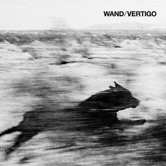 Vertigo - CD Audio di Wand