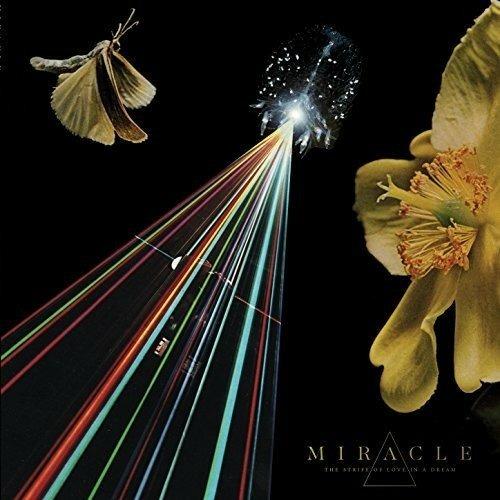 The Strife of Love in a Dream - CD Audio di Miracle