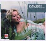 Die Schöne Müllerin (Berlin Basics) - CD Audio di Franz Schubert,Siegfried Lorenz