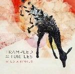 Wild Animals - CD Audio di Trampled by Turtles