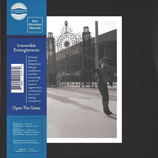 Open the Gates (Coloured Vinyl) - Vinile LP di Irreversible Entanglements