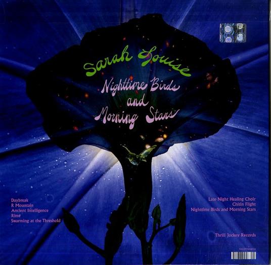 Nighttime Birds and Morning Stars - Vinile LP di Sarah Louise - 2