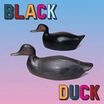 Black Duck (Orange Vinyl)