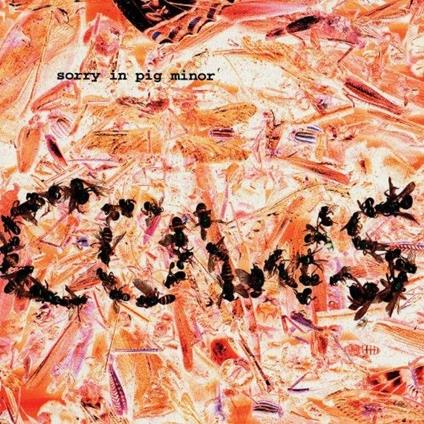 Sorry in Pig Minor - CD Audio di Cows