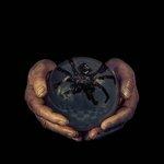 Spider's Eyes - Vinile LP di Buck Gooter