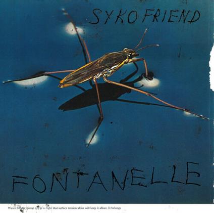 Fontanelle - Vinile LP di Syko Friend