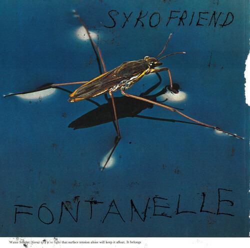 Fontanelle - Vinile LP di Syko Friend