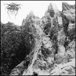 Total Death - CD Audio di Darkthrone