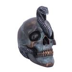 SERPENTINE FATE GOTHIC SNAKE SKULL STATUA NEMESIS NOW