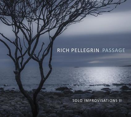 Passage. Solo Improvisations Ii - CD Audio di Rich Pellegrin