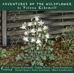 Adventures of the Wildflower