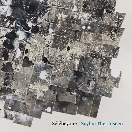Xaybu. The Unseen - Vinile LP di Steve Lehman,Selebeyone