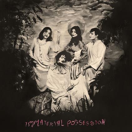 Immaterial Possession - Vinile LP di Immaterial Possession