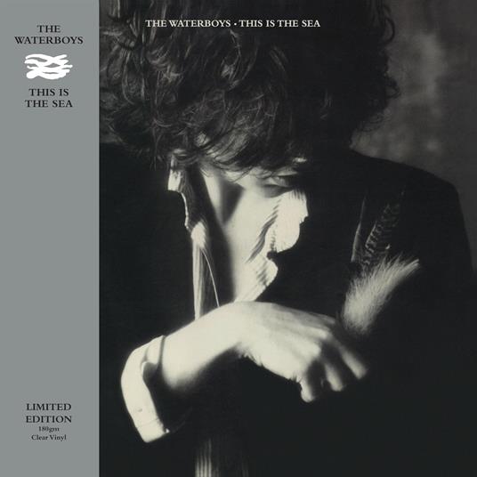 This Is The Sea - Vinile LP di Waterboys