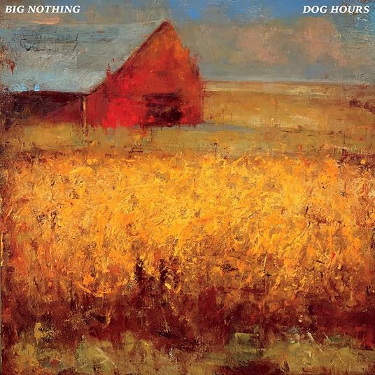 Dog Hours - Vinile LP di Big Nothing