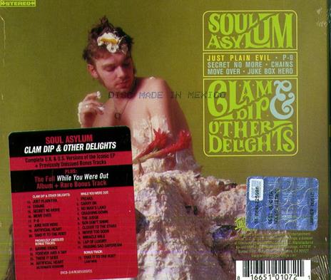 While You Were Out - Clam Dip and Other Delights - CD Audio di Soul Asylum - 2