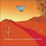 But This Chicken Proved Falsehearted - CD Audio di Sam Amidon