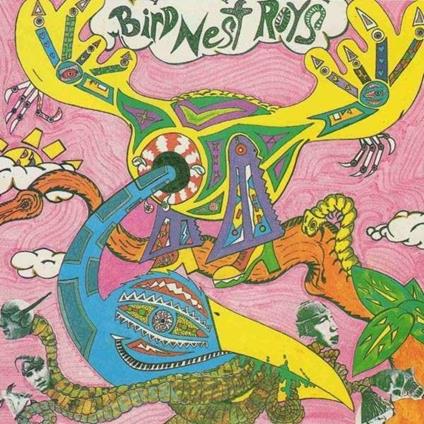 Compilation - Vinile LP di Bird Nest Roys