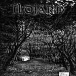 Forest Poetry - CD Audio di Ildjarn