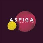 What Happened To You? - Vinile LP di Aspiga