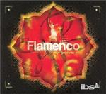 Flamenco New Grooves