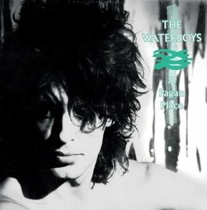 A Pagan Place (180 gr.) - Vinile LP di Waterboys