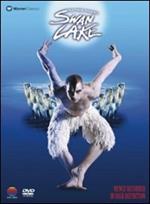 Pyotr Ilyich Tchaikovsky. Swan Lake. Il lago dei cigni (DVD)