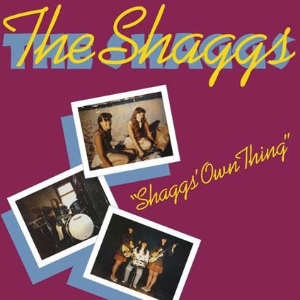 Shaggs Own Thing - Vinile LP di Shaggs