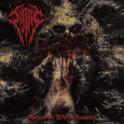 Salvation Within Insanity - CD Audio di Sijjeel