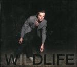 Wildlife - CD Audio di Icarus Line