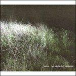Headlight Serenade - CD Audio di Triosk