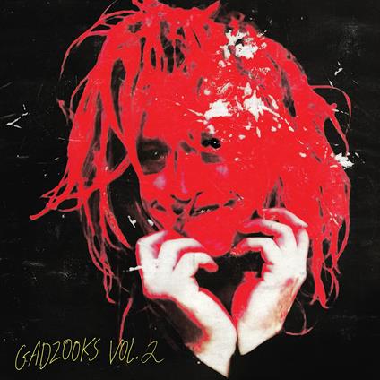 Gadzooks Vol. 2 - Vinile LP di Caleb Landry Jones