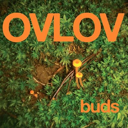 Buds (Green Vinyl) - Vinile LP di Ovlov