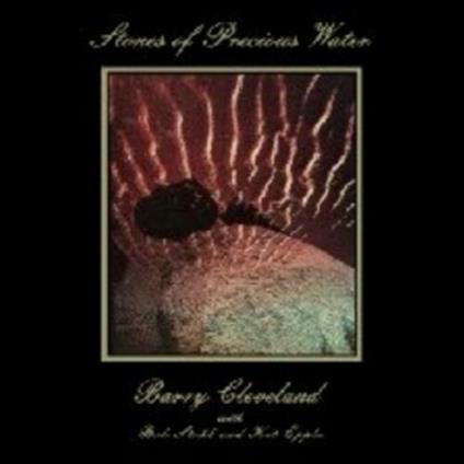 Stones of Precious Water - Vinile LP di Barry Cleveland