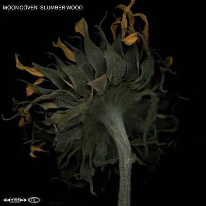 Slumber Wood - CD Audio di Moon Coven