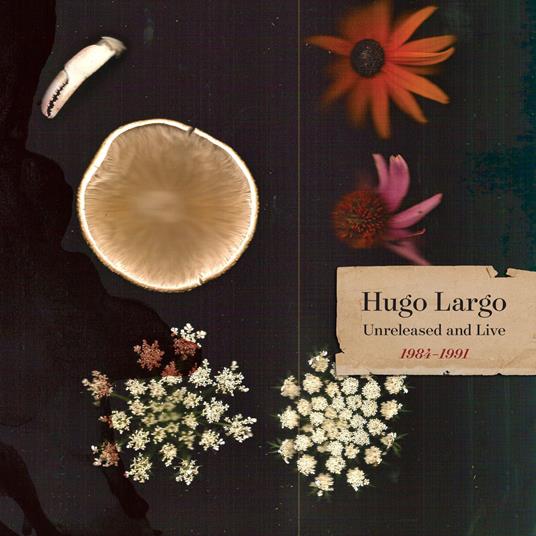 Huge, Large And Electric. Hugo Largo 1984-1991 - Vinile LP di Hugo Largo