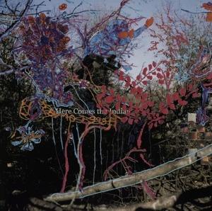 Here Comes the Indian - Vinile LP di Animal Collective