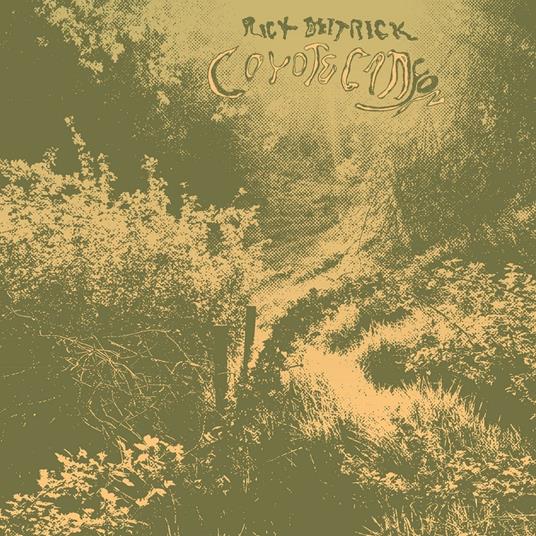 Coyote Canyon - Vinile LP di Rick Deitrick