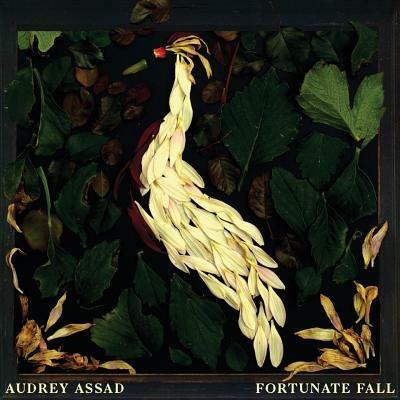 Fortunate Fall - CD Audio di Audrey Assad
