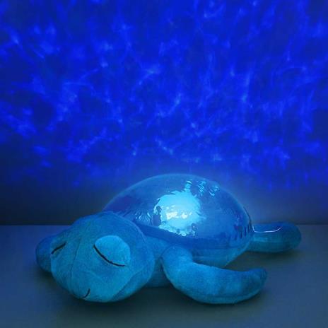 Tranquil Turtle Aqua - 5