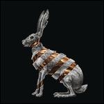 Jackrabbit - Vinile LP di San Fermin