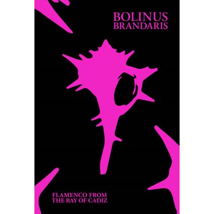 Bolinus Brandaris. Flamenco From The Bay Of... - CD Audio