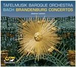 Concerti brandeburghesi