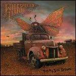 Dirty Side Down - CD Audio di Widespread Panic