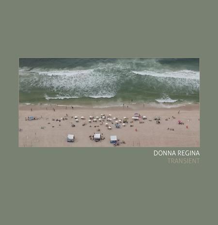 Transient - CD Audio di Donna Regina