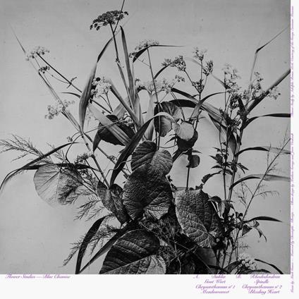 Flower Studies - Vinile LP di Blue Chemise