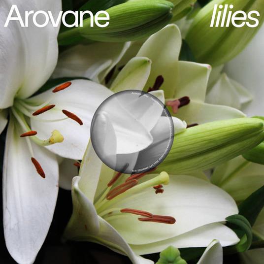 Lilies - Vinile LP di Arovane