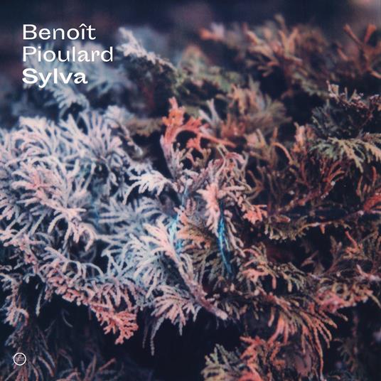 Sylva - CD Audio di Benoit Pioulard