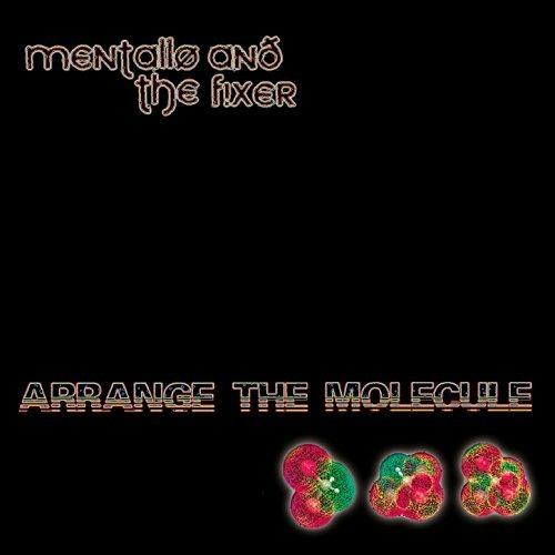 Arrange the Molecule (Limited Edition) - CD Audio di Mentallo & the Fixer