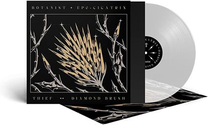 Cicatrix - Diamond Brush (Clear Vinyl) - Vinile LP di Thief,Botanist